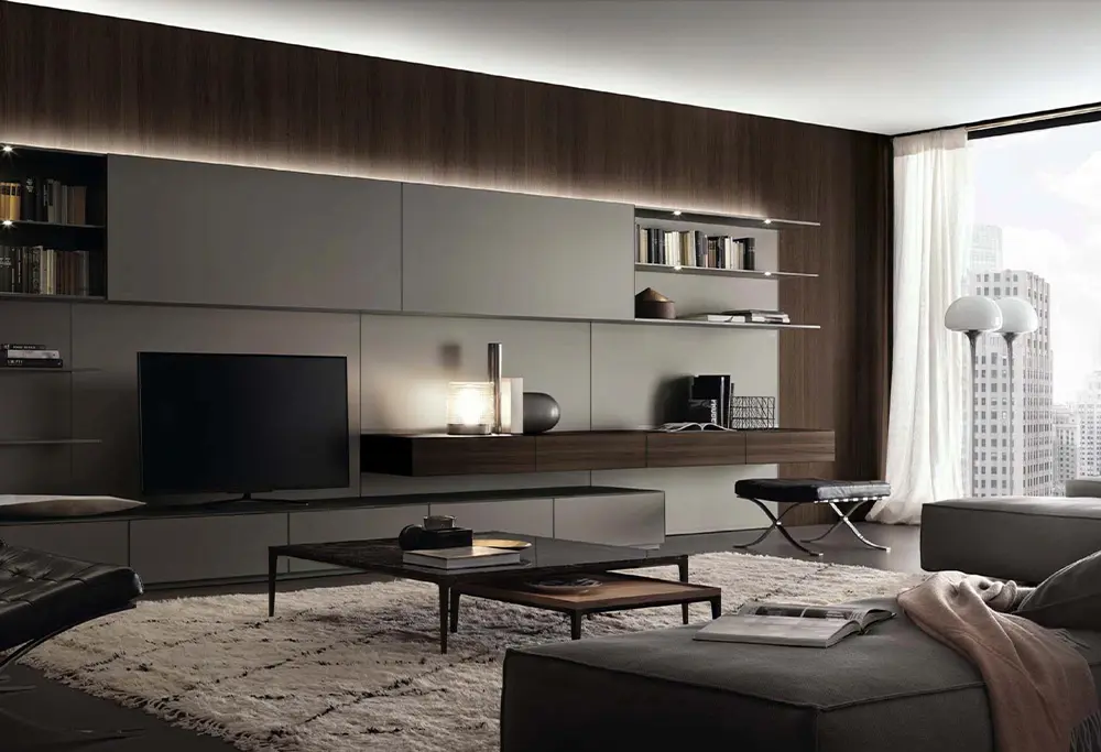 Cabinet of living room systems