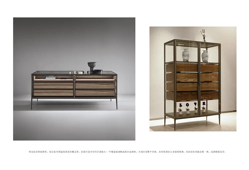 Cabinet of living room systems